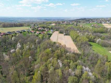 Twój prywatny las blisko Tarnowa - 98 arów spokoju i natury 