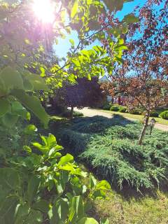 Duży dom duża działka wyjątkowa nieruchomość
