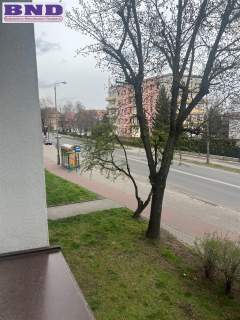 zabrze 2 pokoje 1 piętro sprzedaż