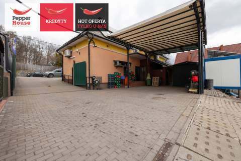 Dom z funkcją handlową   mieszkanie i biznes