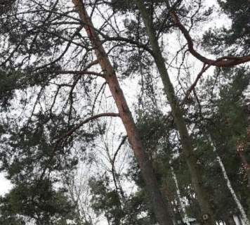Urokliwa działka -Józefów- Michalin