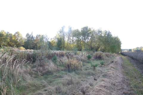 Działka budowlana 15 ar Kozioł g. Baranów