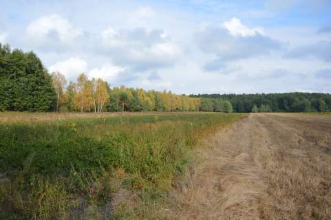 Działka, Klarów, 1,09 ha