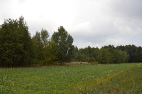 Działka 1.77 ha w Brzeźnicy Leśnej pow. Lubartów.