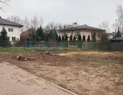 Dąbrowa Leśna , wymiarowa