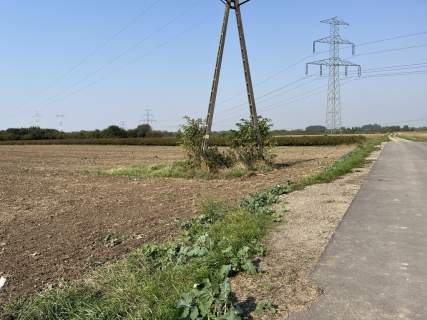 Działka rolno-budowlana 0,62 ha w Gołębiu k/Puław.