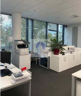 Śródmieście lokal biurowy 310m2 do podnajmu
