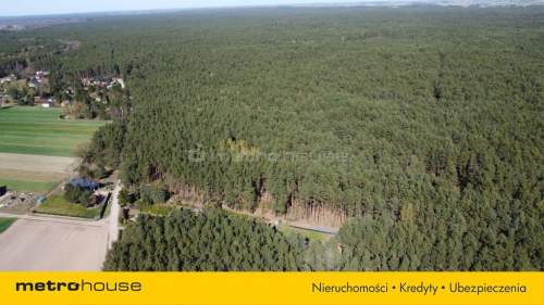 1.2 hektara - działka leśna w miejscowości Łacha