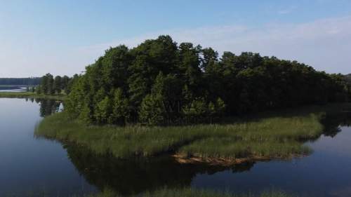 Działka budowlana na sprzedaż, 600 m2, Przełazy