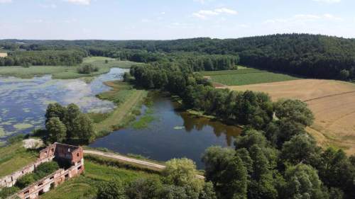 Działka inwestycyjna 35 ha w Celejowie /Wąwolnica
