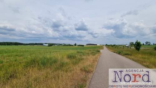 Działka, 12HA, Augustów, Tranport, Usługi,