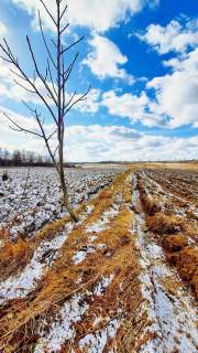 Działka budowlana Płouszowice Kolonia - 35ar