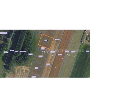 Działka na sprzedaż, 1000 m2, Kampinos