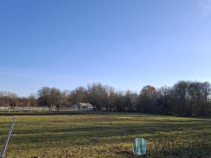 Działka sportowo usługowa na sprzedaż