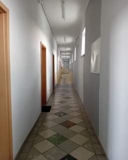 BIURA DO WYNAJĘCIA 