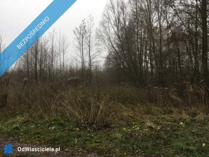 Działki budowlane 1ha oraz 2,13ha rolnych z prawem do zabudowy,...