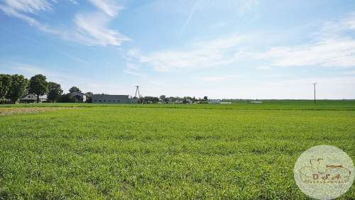 OSTATNIA DZIAŁKA 779 m2 Grzybno k. Mosiny