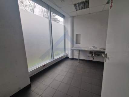 Biurowiec Puławska biuro do wynajęcia 294 m2