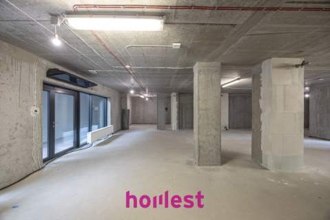 Lokal w Wildzie blisko centrum