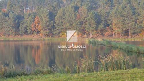 Działka budowlana 4000 mkw, widok na staw, Wełmin