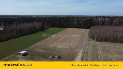 Działki budowlane w otoczeniu natury, Kazimierz