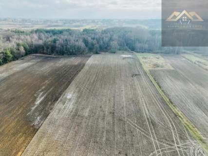 Działka z lasem w atrakcyjnej lokalizacji