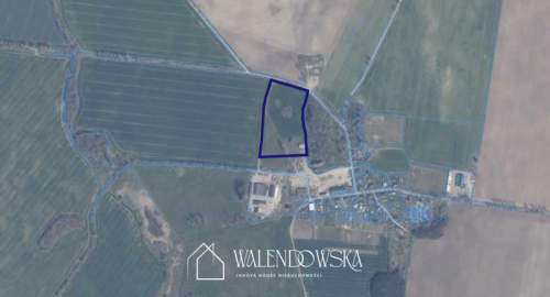 działka rolna 4,39 ha - Grapice, gm. Potęgowo