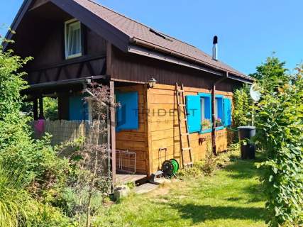 Działka ROD aż 600m2 - Walendów Abisynka 