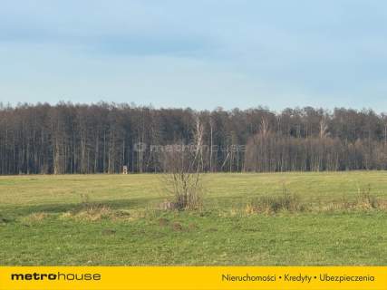 Dom na sprzedaż, 70 m2, Nowe Budy