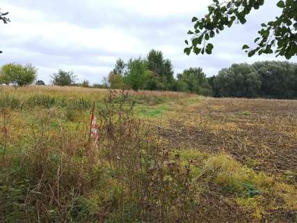 Działka budowlana na sprzedaż, 1492 m2, Stara Dąbrowa