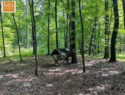 Działka 10,16a Marszowice,POLANOWICE,TANIO
