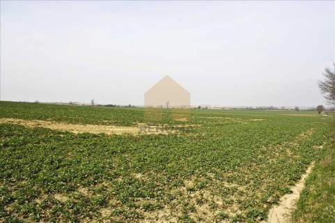 Działka na sprzedaż, 1300 m2, Rosochata