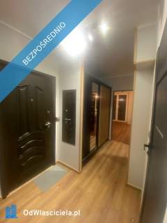 Do wynajęcia mieszkanie 70 m2 w Katowicach