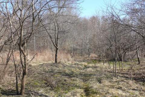 Jabłonna Druga - duża działka z domem bud gosp 