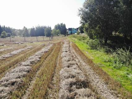 Działka budowlana Nowa Ruda - Słupiec