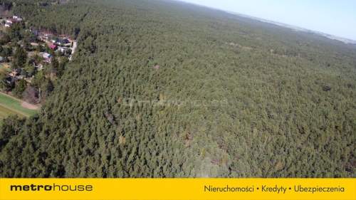 1.2 hektara - działka leśna w miejscowości Łacha