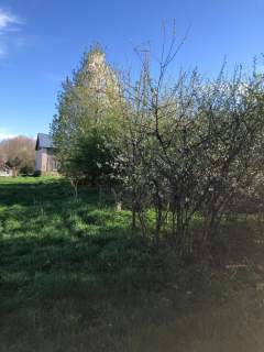 Anielpol - działka 5200m2