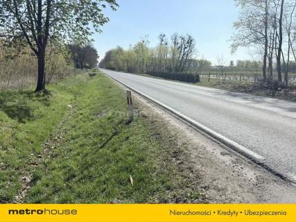 Siedlisko miejscowość Wężyki, gm. Rybno Sochaczew