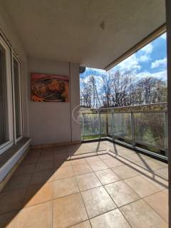 Gaj, Duży balkon, Piwnica, Umeblowane