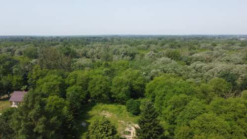 Siedlisko w Kaliszanach Kolonii gm. Józefów