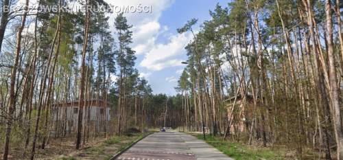 Miedzylesie, Biegunowa , MPZP, szeregowa, usługowa