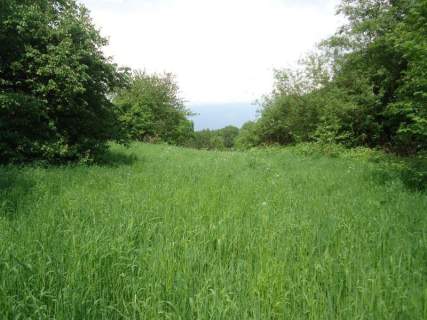 Działka inwestycyjna na sprzedaż, 1600 m2, Świdnik