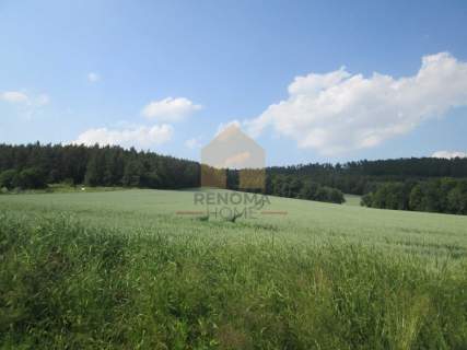 Działka inwestycyjna na sprzedaż, 4700 m2, Dzierżoniów
