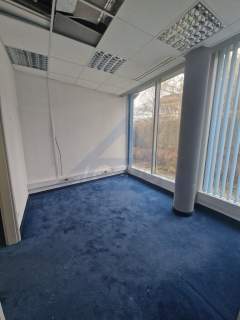 Biurowiec Puławska biuro do wynajęcia 294 m2