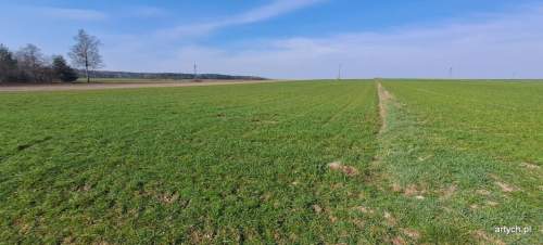 Działka rolna na sprzedaż, 39300 m2, Hołowienki