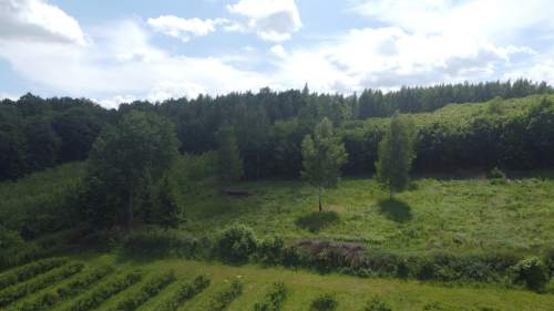 Działka 3580 m2 w Kazimierzu Dolnym 4 km od rynku.
