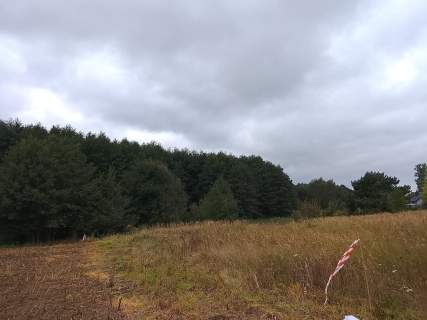 Działka budowlana na sprzedaż, 1492 m2, Stara Dąbrowa