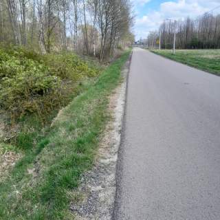 Międzyborów / Bieganów