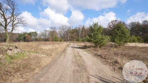 Rezydencjonalna pod lasem Esterpole 2824 m MPZP 