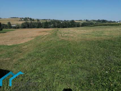 Działka inwestycyjna na sprzedaż, 10052 m2, Łączka